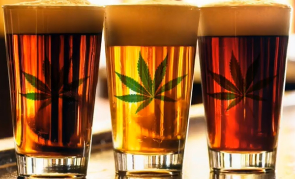 Des bières aux extraits de cannabis.
